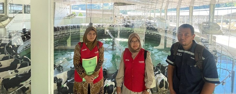 PT Green Fields Indonesia